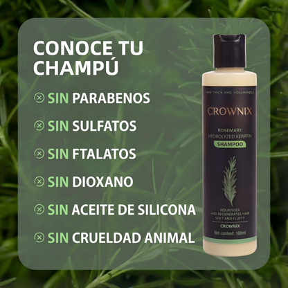 Champú orgánico de romero para el crecimiento del cabello